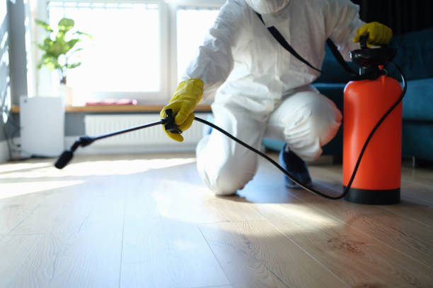 Reliable Blood Cleanup contractor in Overton, TX by Trauma Clean Pros